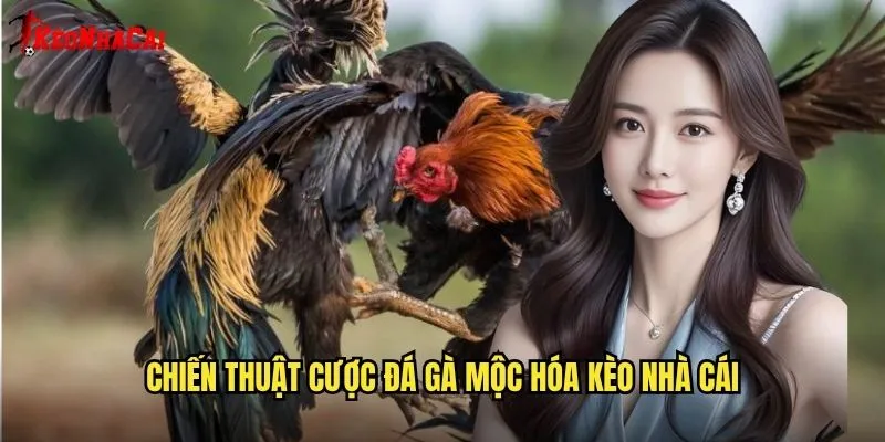 Đá Gà Mộc Hóa Nổi Tiếng - Sân Chơi Kèo Nhà Cái 2 Chiến Thuật Cược Đá Gà Mộc Hóa Kèo Nhà Cái